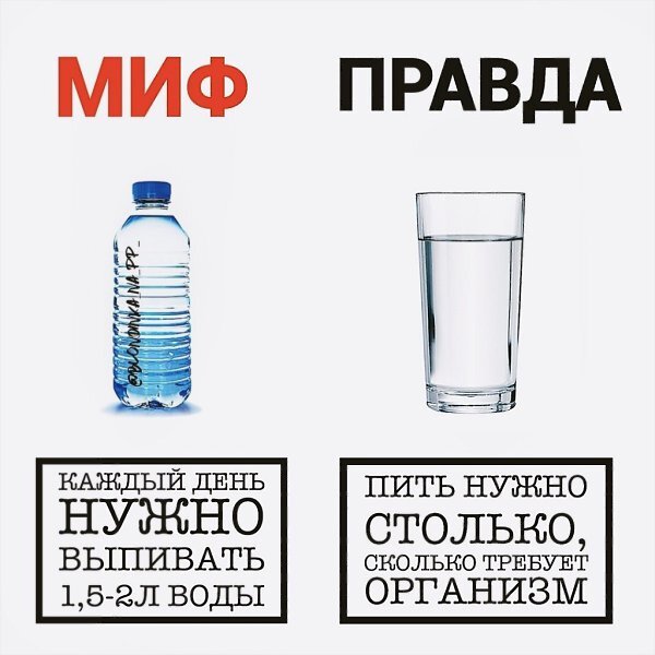 Как понять, сколько воды нужно пить, и почему правило «2 литра в день» работает не для всех