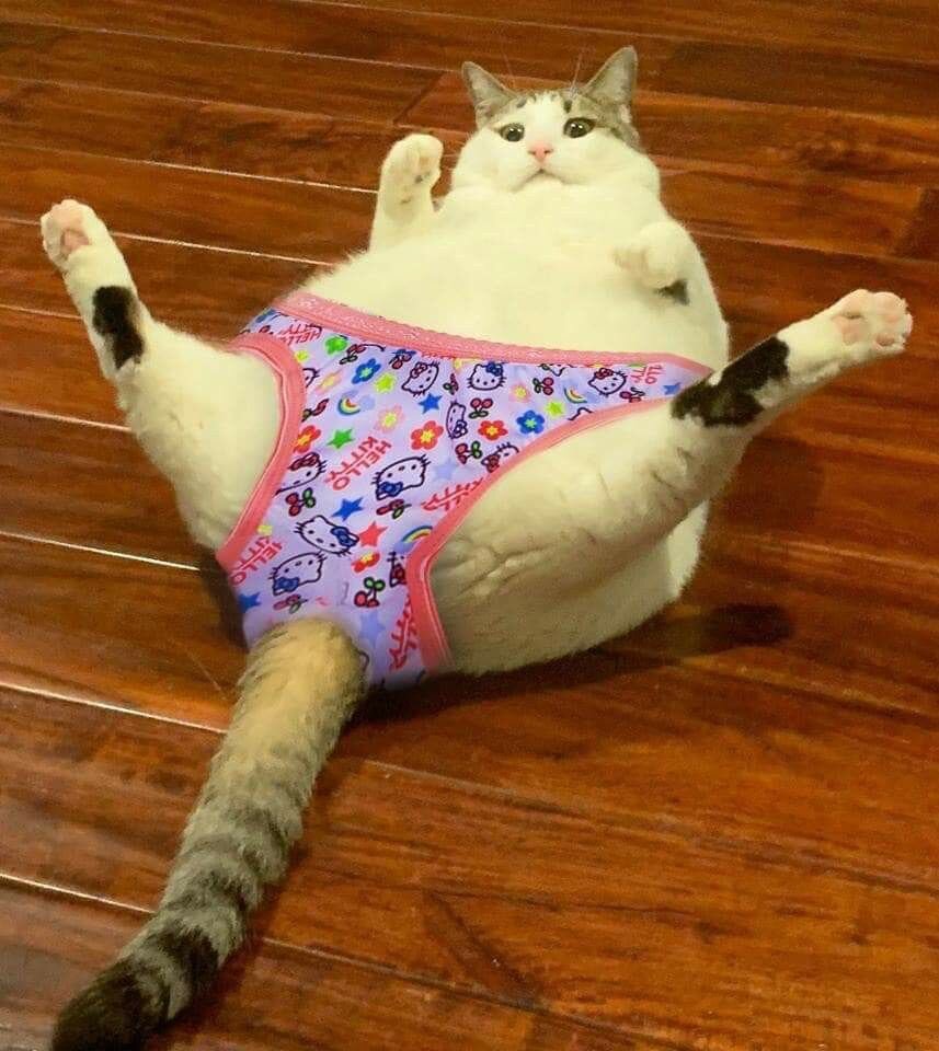 Крутые трусики