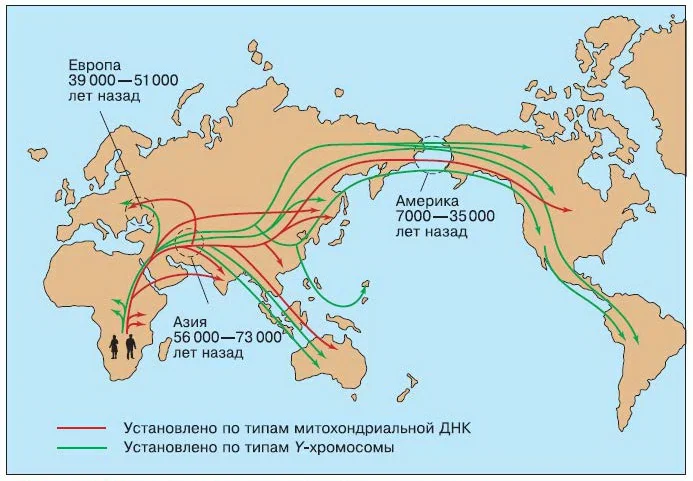 Пути распространения (миграции) кроманьонцев из Южной Африки в Евразию и на другие континенты (школьная карта 11 класса, из открытого доступа)