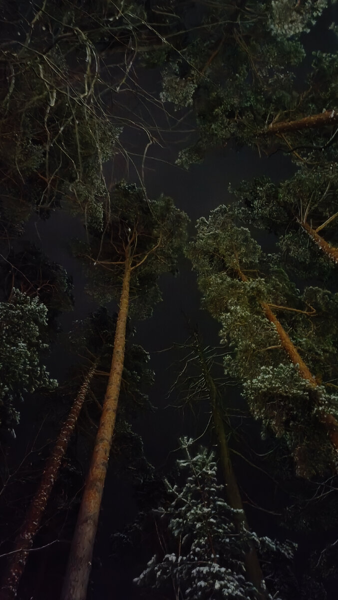 Будто Фотошоп. Но нет, всего лишь ночная фотография.