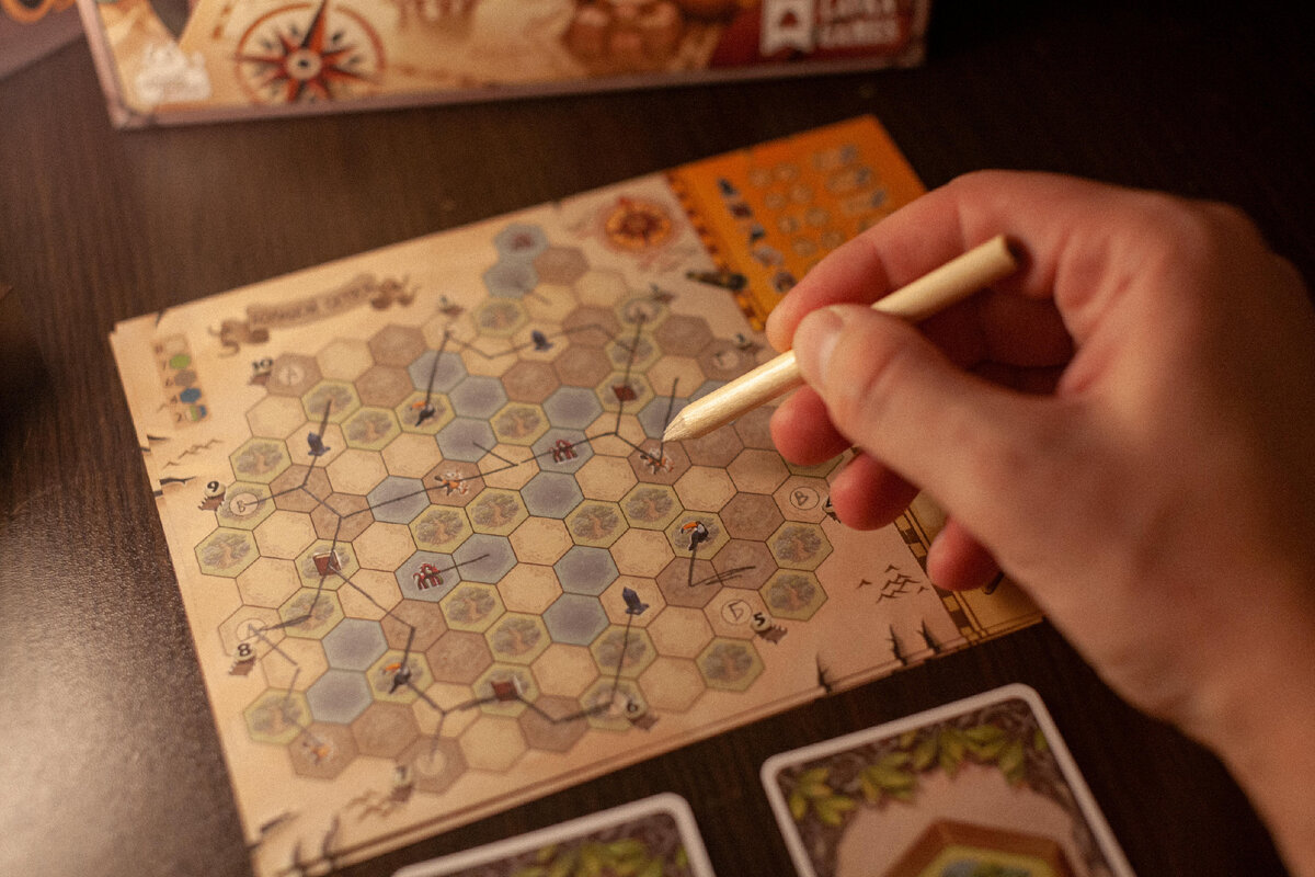 Тропы Туканы. Игровое поле