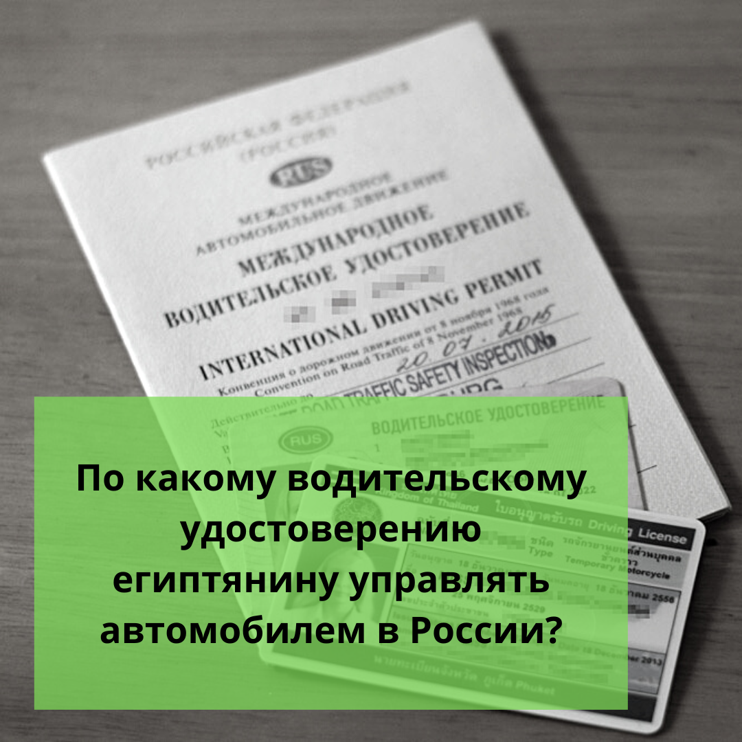 ⚠️По какому водительскому удостоверению египтянину управлять автомобилем в  России? | Ольга о Египте 🇪🇬 и не только | Дзен