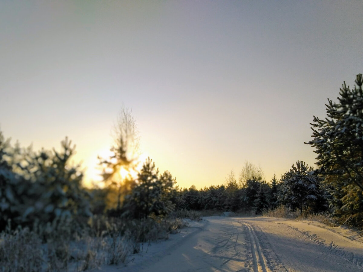 Солнце над лыжнёй в Малиновке