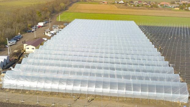 Ягодные туннели