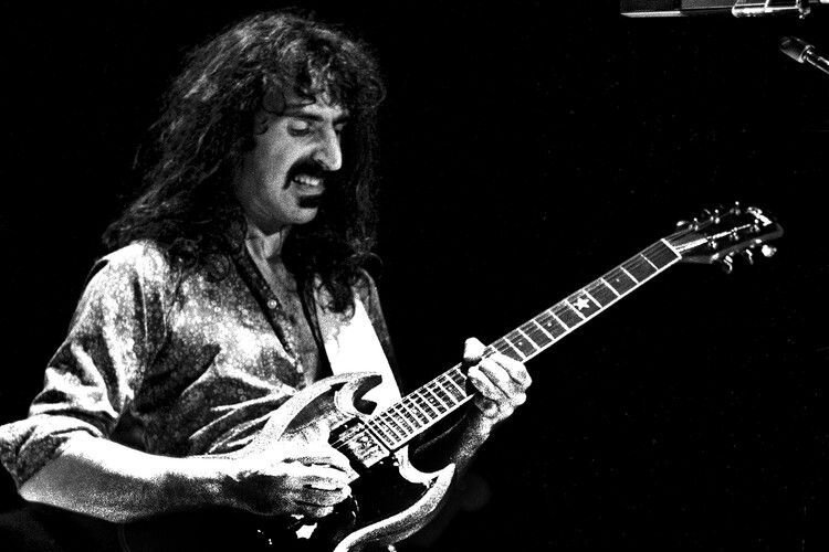 Фрэнк Заппа, 1981