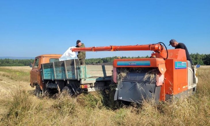    Иркутские аграрии применяют земледелие на сидеральных парах для сокращения созревания зерновых