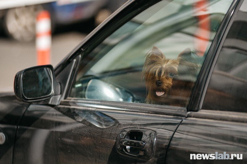 С 1 сентября российским автомобилистам грозят новые штрафы