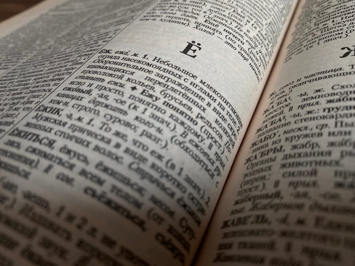 Буква Ё в книгах. Фото: Светлана Лобова