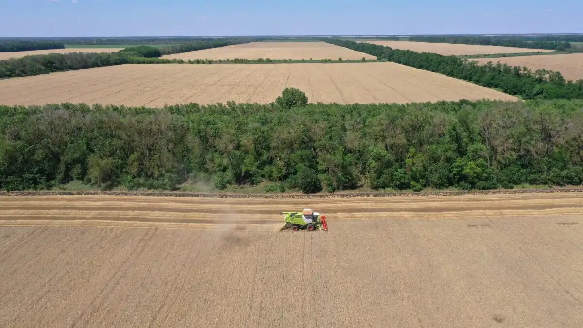 Фото: пресс-служба «Прогресс Агро» Уборка зерновых в ГК «Прогресс Агро»