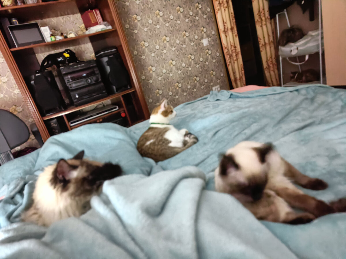 двое в кадр не попали