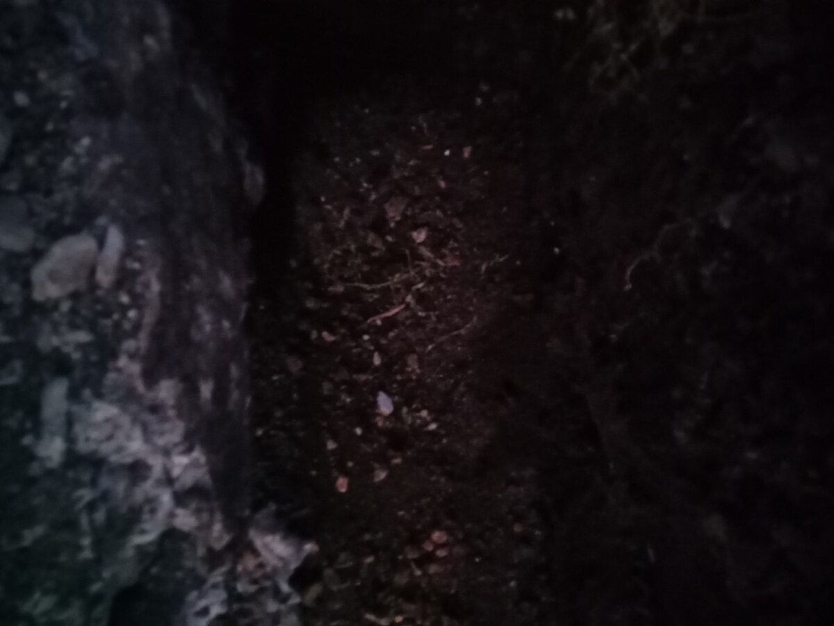 Добрались до дна