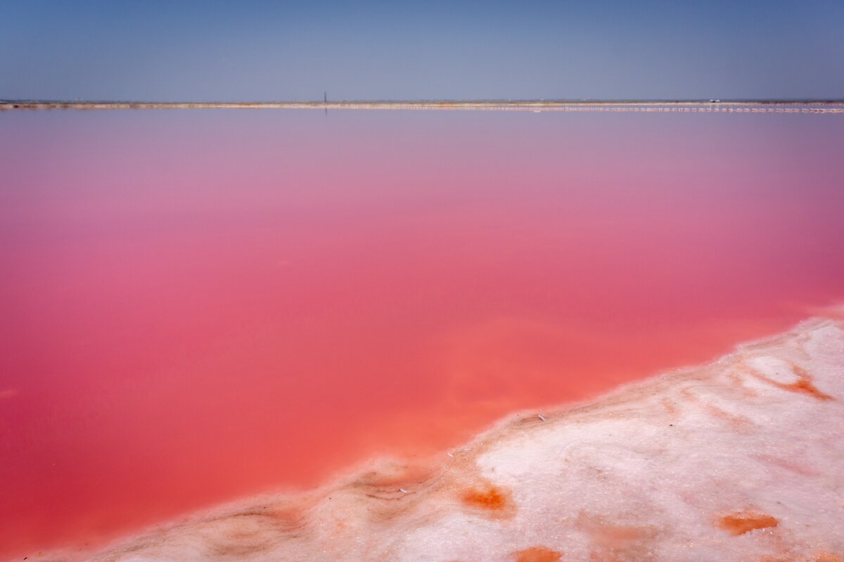 Розовое озеро в евпатории фото