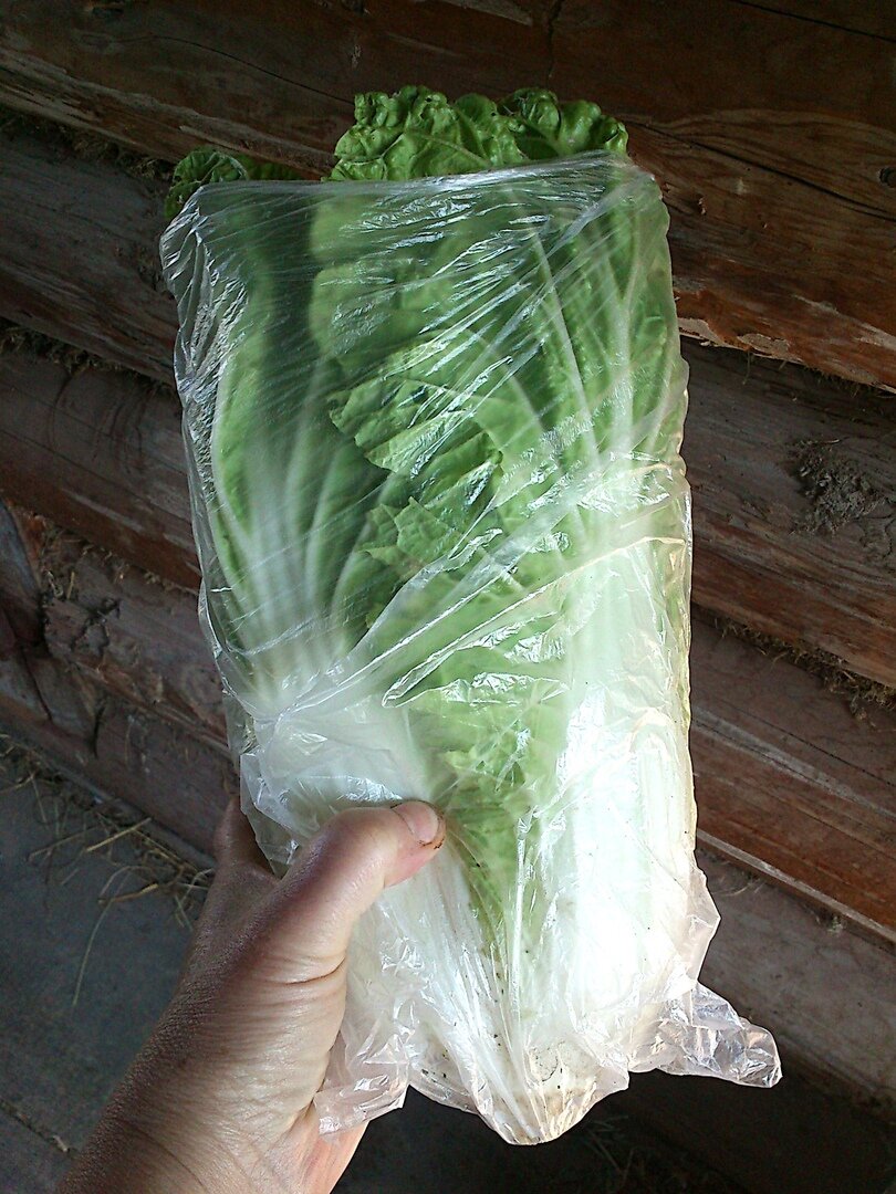 Фото , рука и капуста- автора