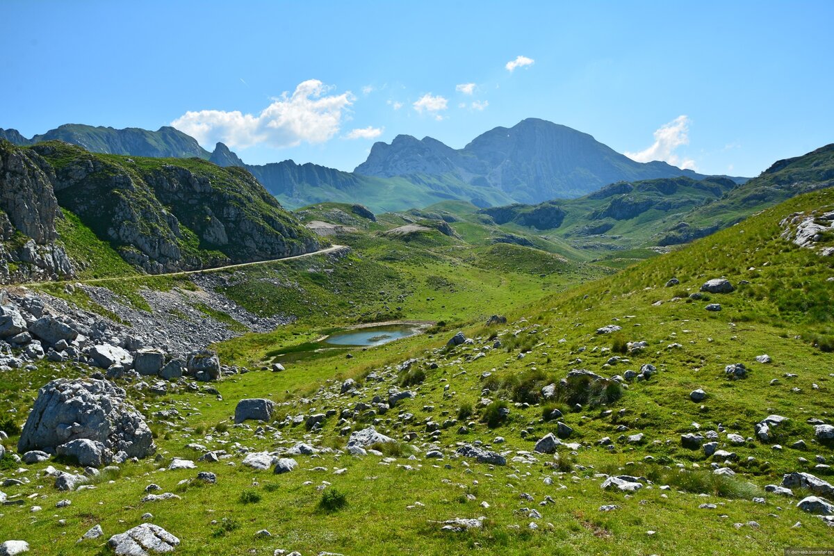 Фото: © Denis Mironov 