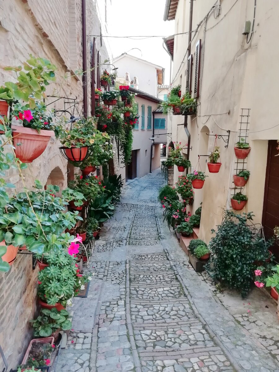 Все улицы украшены цветами