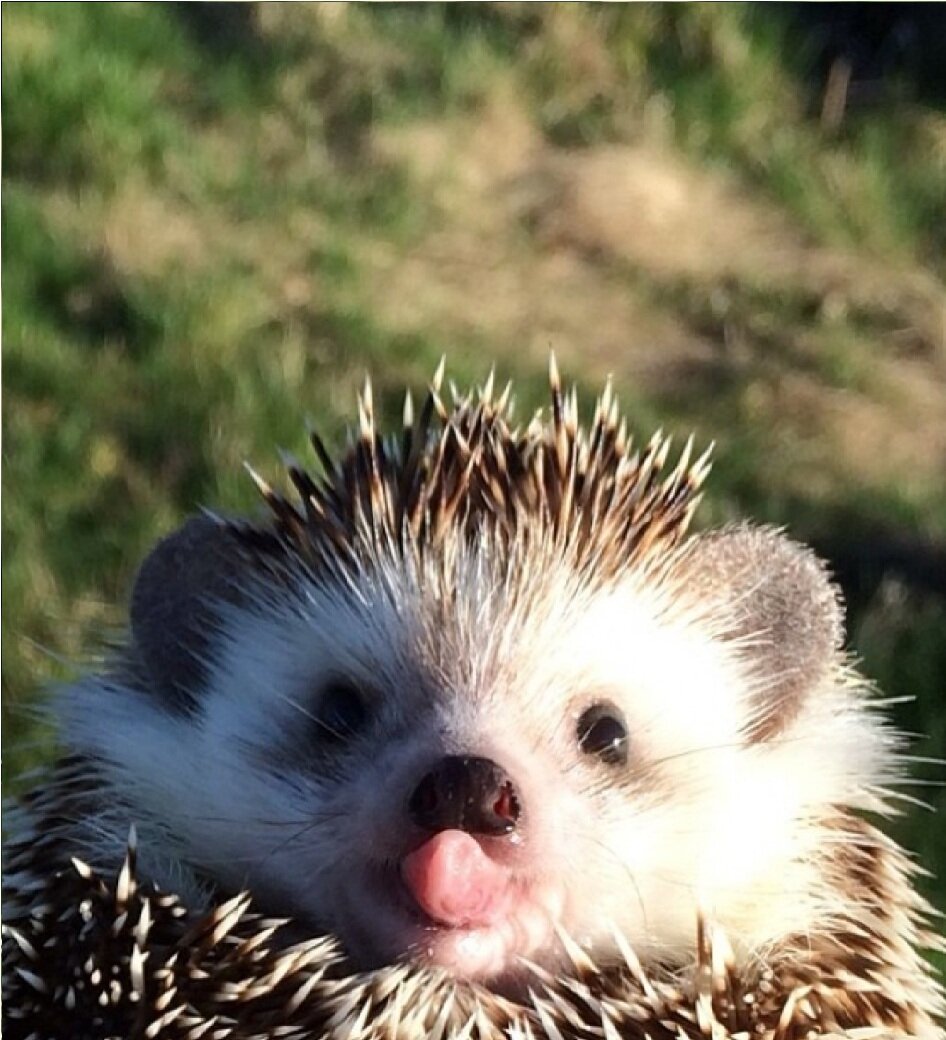 Фото с интернета