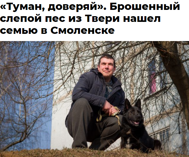 Фото взято https://smol.aif.ru/