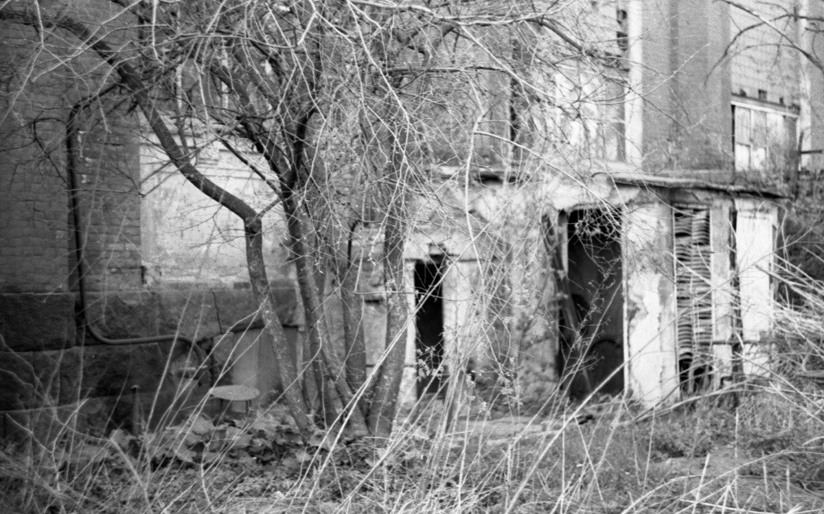 Ilford 400, zenit. за Александро-Невской лаврой