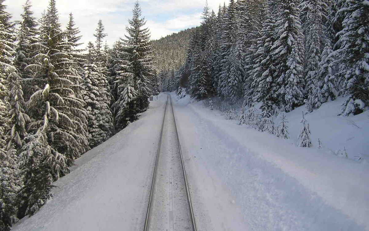 Фото: fonstola.ru