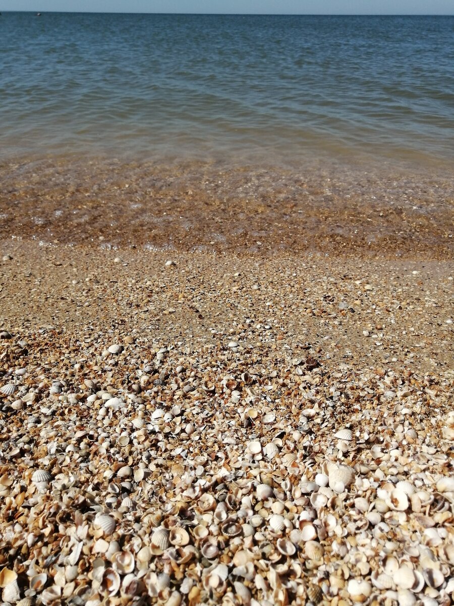 К ракушечному пляжу привыкаешь быстро