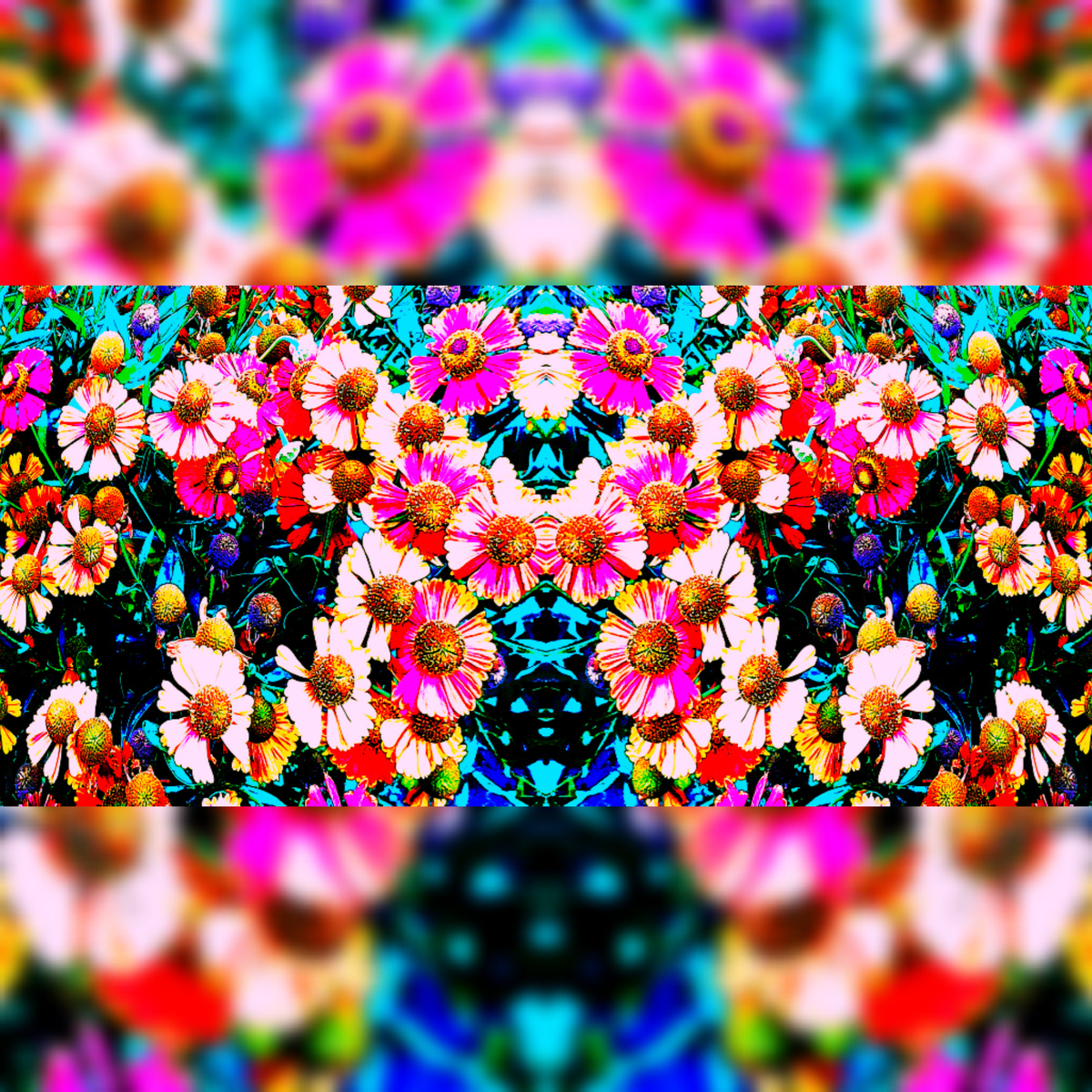 Фото из личного архива в обработке