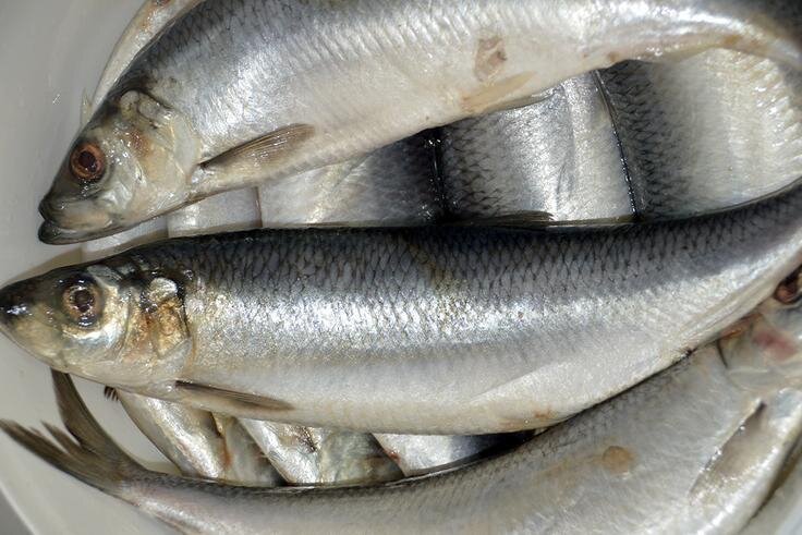 Фото: kazan.fishretail.ru