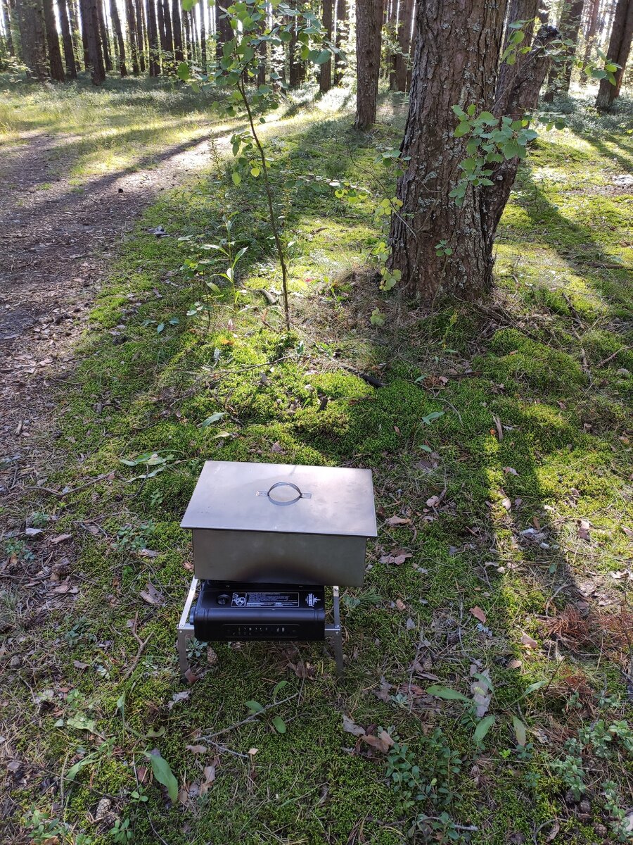 Все готово - ждём.