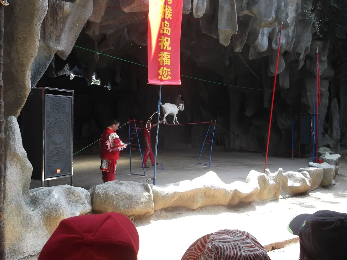 Козочка на канате