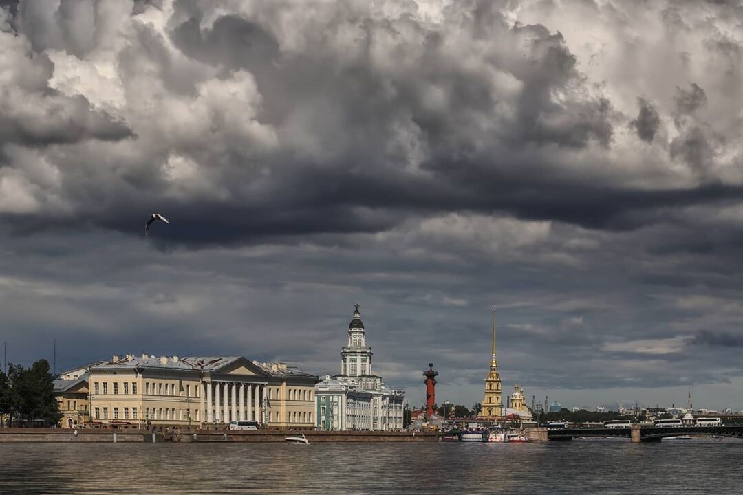 Фото: Владимир Колесников