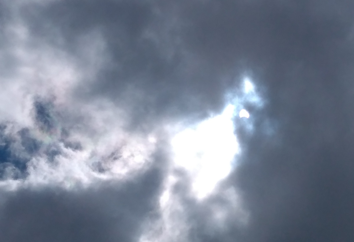 Частичное солнечное затмение над Новосибирском в июне 2020. Фото моё.