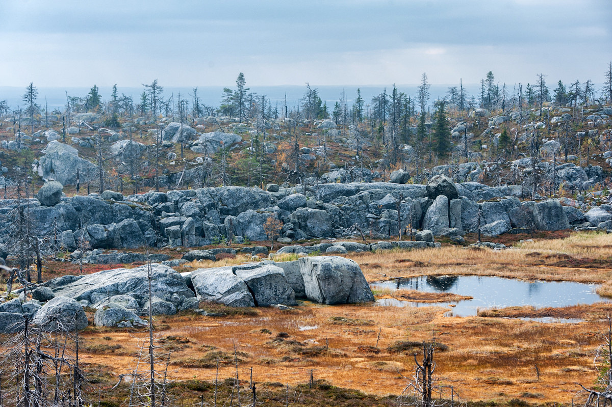 Источник фото: Яндекс картинки