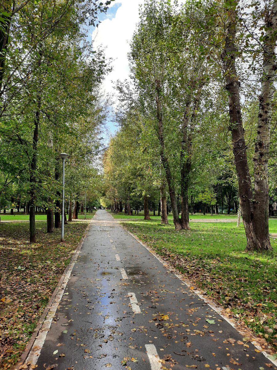 Фото автора.