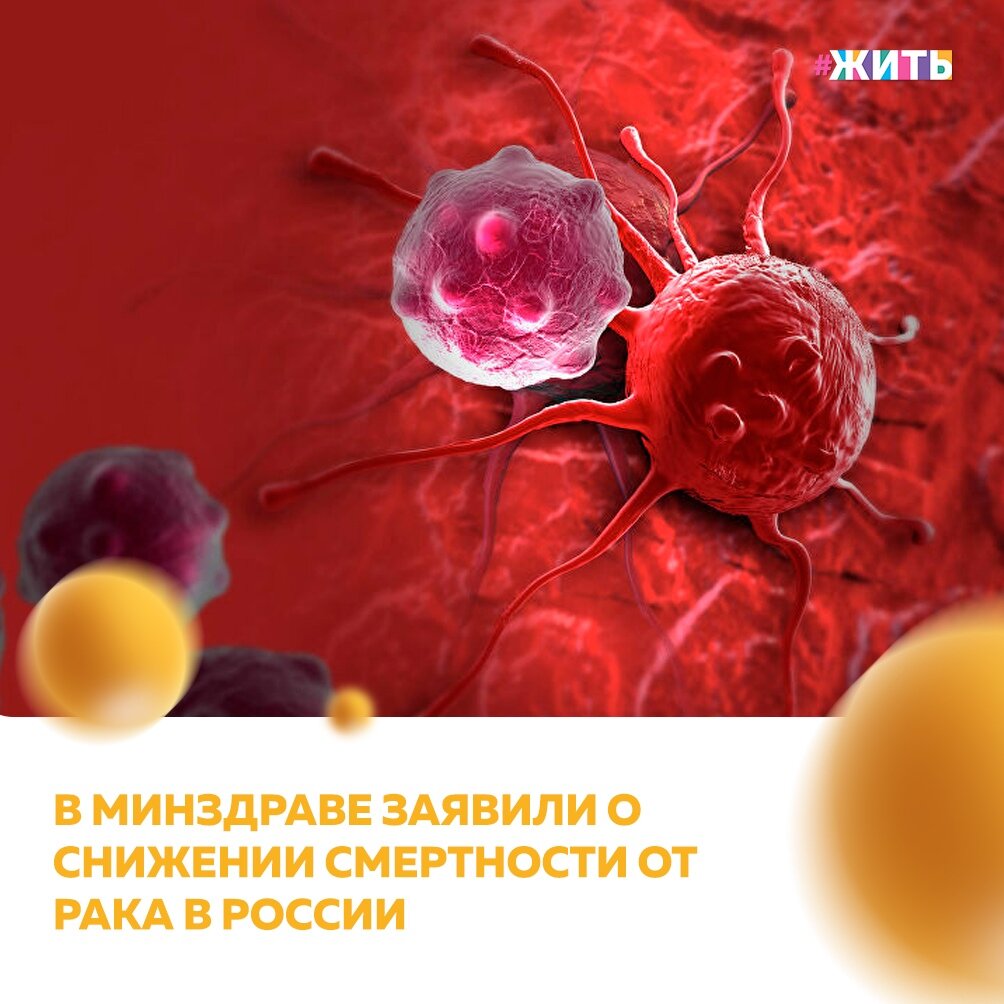 Смертность от злокачественных новообразований за период с января по июнь снизилась на 5% по сравнению с 2019 годом👍 
Согласно представленной информации от Минздрава, в целом по России также увеличивается доля злокачественных новообразований, выявленных на ранних стадиях рака😌

Раньше онкологию выявляли лишь на поздних стадиях, когда шансов на выздоровление практически не оставалось. Сейчас медицина и технологии позволяют обнаружить опухоль на ранних стадиях, что способствует снижению смертности☝

Благодаря предпринятым мерам были спасены десятки жизней! Спасибо🙌

#жить #проектжить #снижениесмертностиотрака