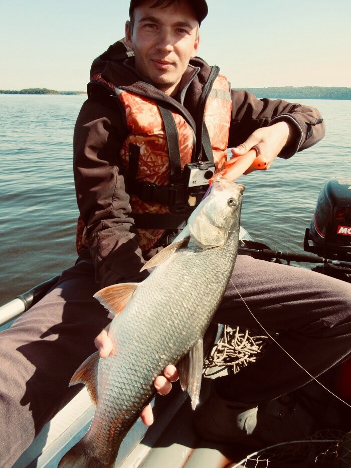 Хорошая рыба взяла на блесну Iron Minnow 12гр