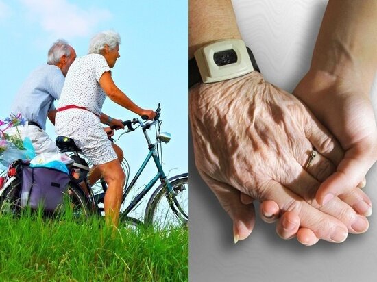 Фото - pixabay.com