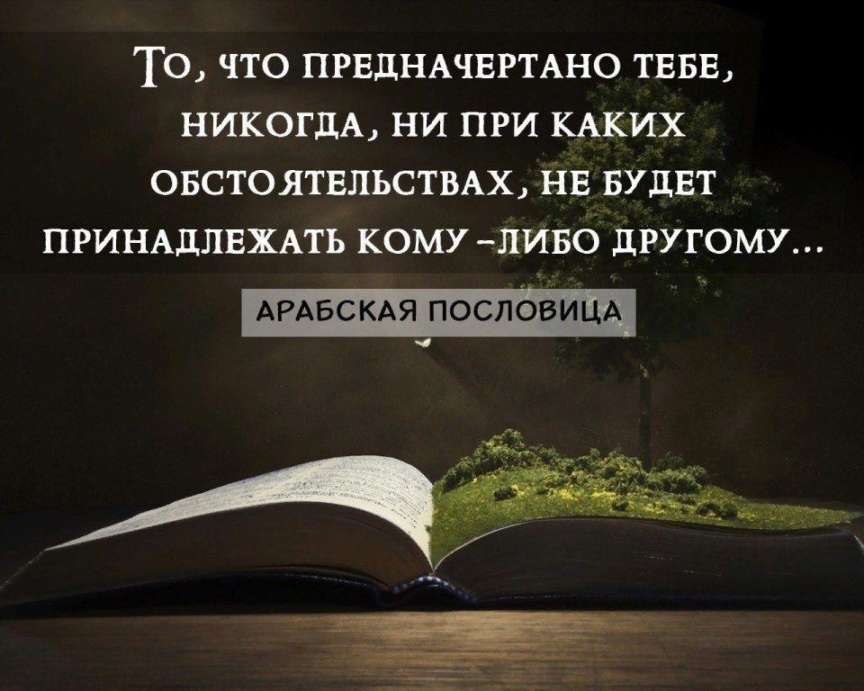 Арабские пословицы. Мудрые арабские пословицы. Арабские мудрости цитаты. Афоризмы арабских мудрецов.