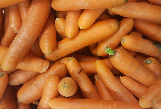 Если не хотите потерять урожай моркови, соблюдайте одно правило хранения