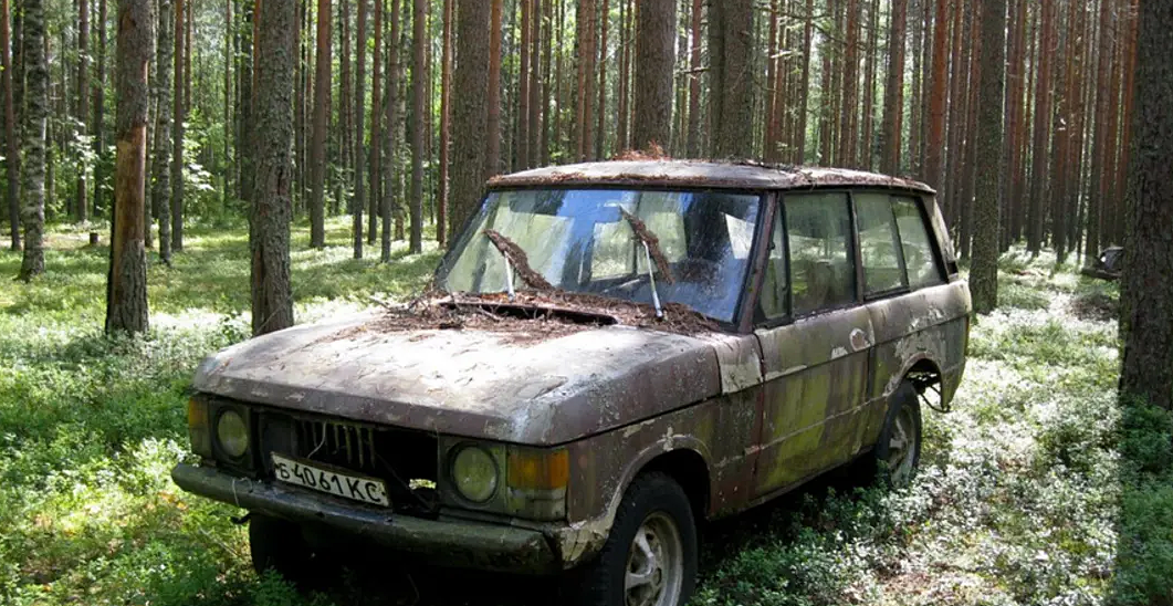 Посреди леса нашли редкий Range Rover с советскими номерами