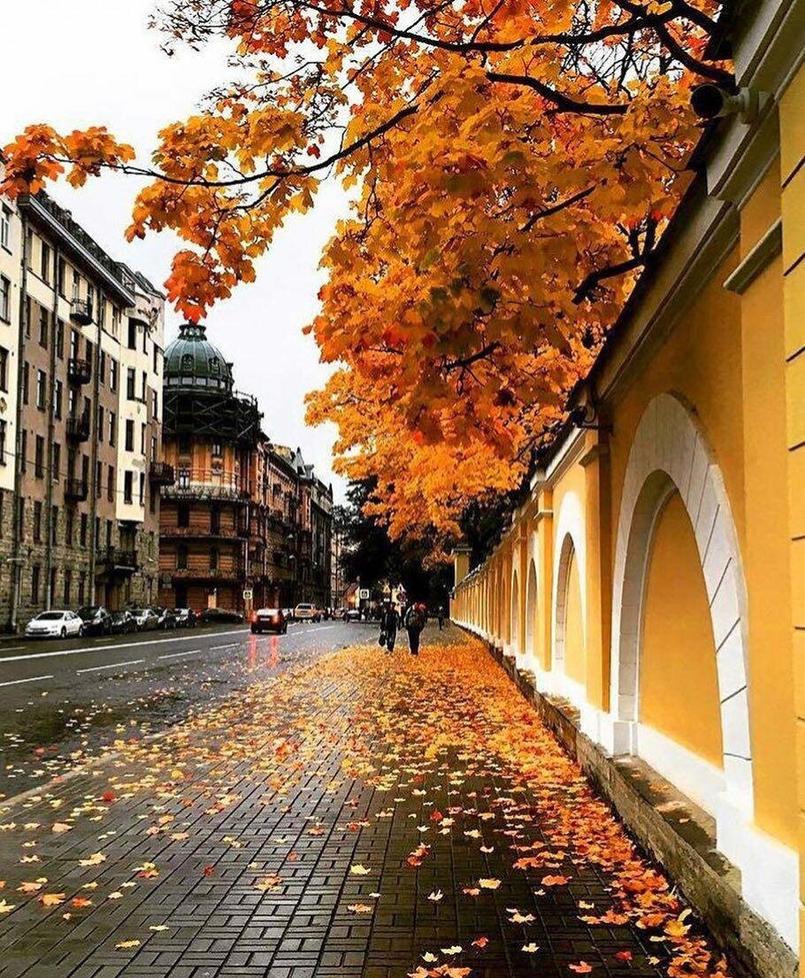 Осень в Питере.