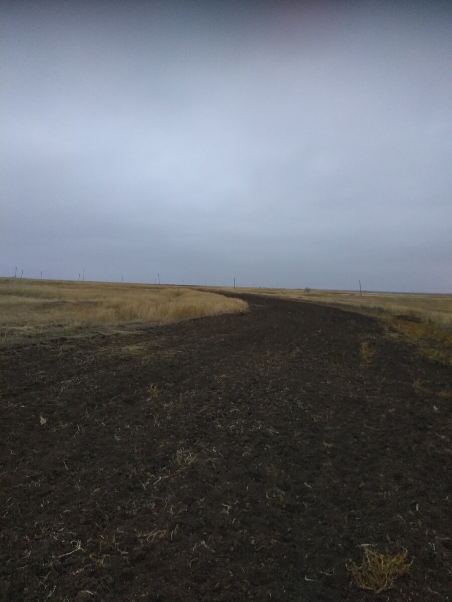 фотографировал когда начало уже темнеть.