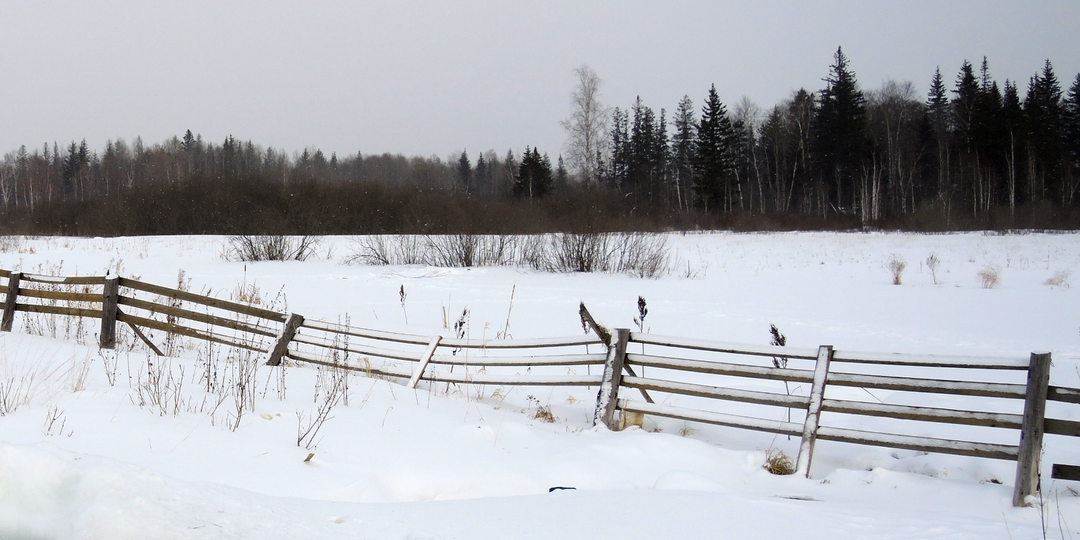 Путь... запись 1 "появление"
