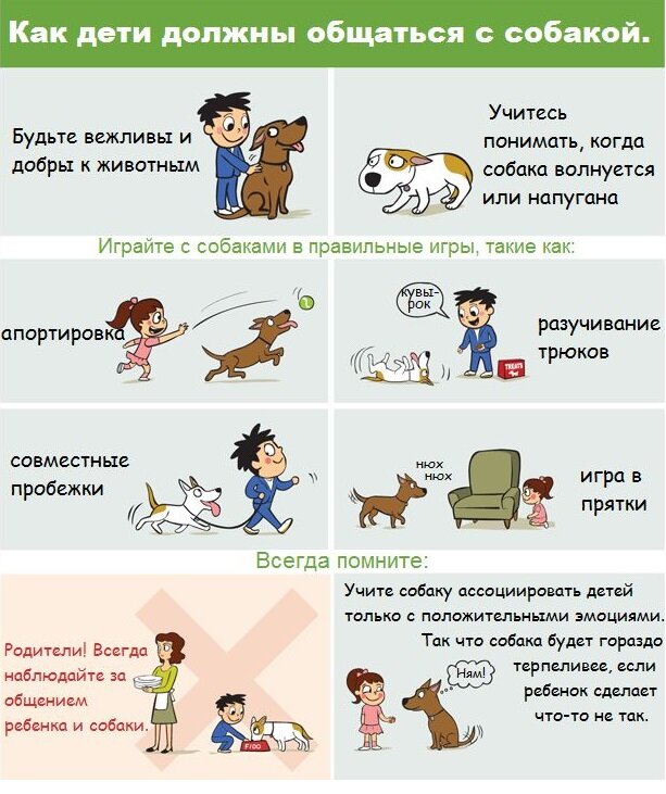 С сайта ikinolog.ru