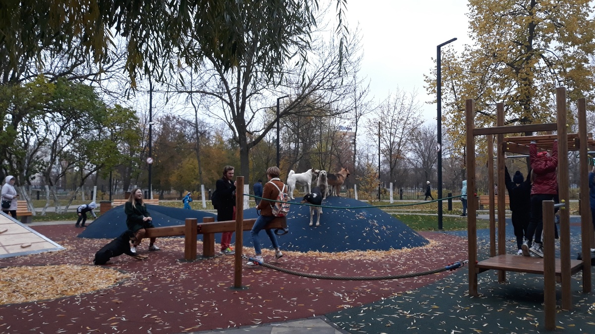 Собакам тоже нравится отдыхать в Детском парке