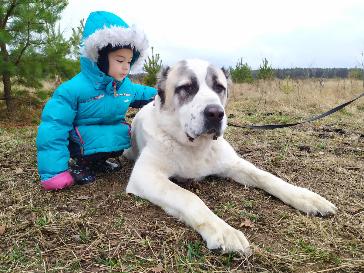 Даниил с нашим среднеазиатом 