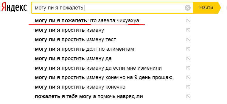 Этим вопросом действительно надо задаться перед тем, как завести чихуахуа.