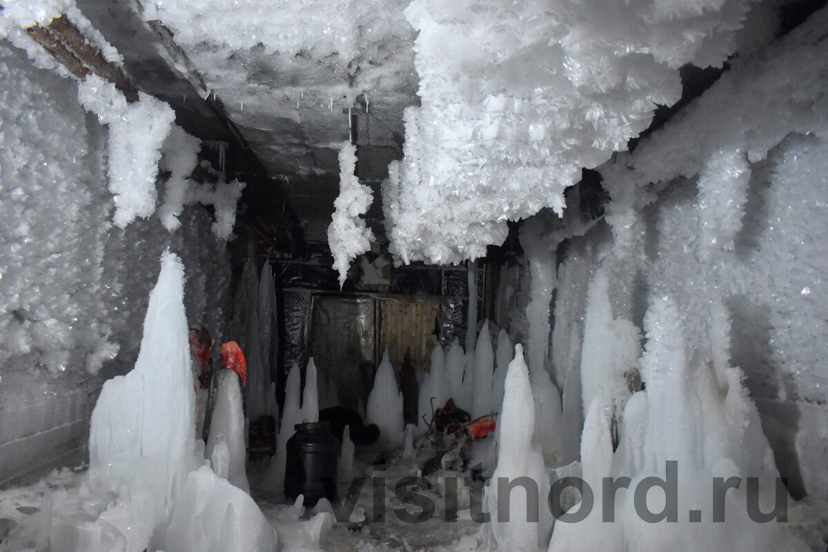 А у Андреича такой вот холодильник есть, завидуйте :)