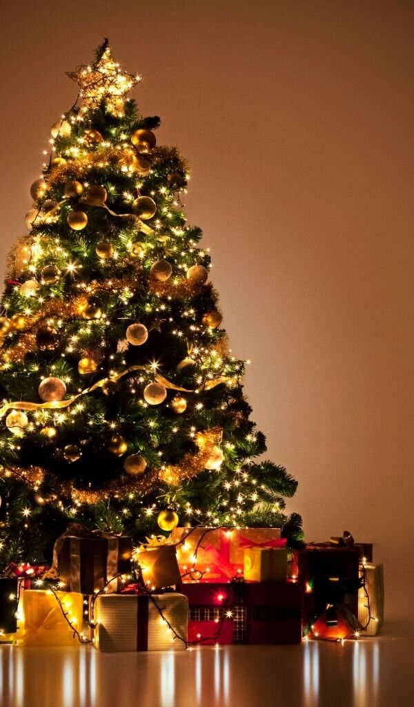 Из открытых источников