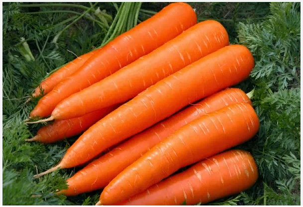 Удивительные продукты