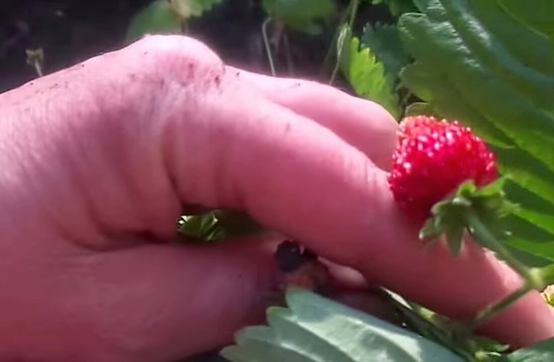 Фото сделано в 2018 г