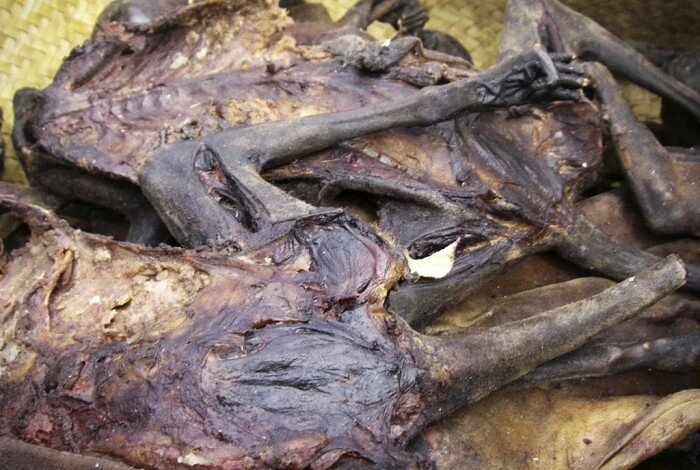 Копальхем он же гнилой олень